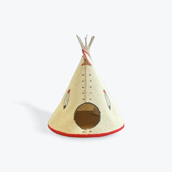 Michael Julian: Mi'kmaq Flag Canvas Teepee