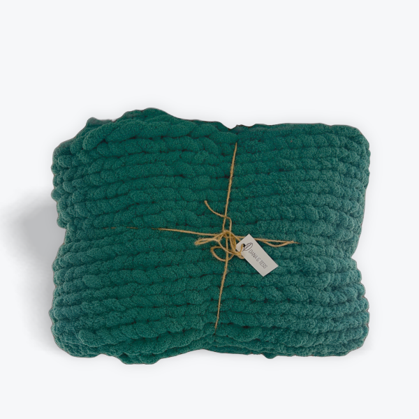 Dana & Tess: Crocheted Blanket