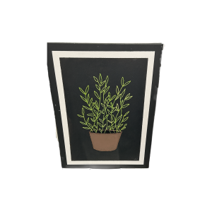 Dana & Tess: Embroidered Plant Wall Art