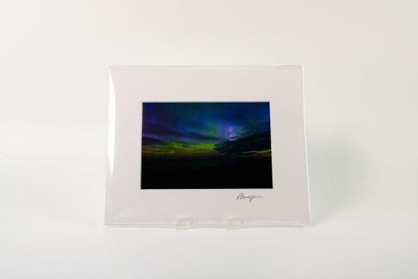 Patricia Bourque: Matted Prints