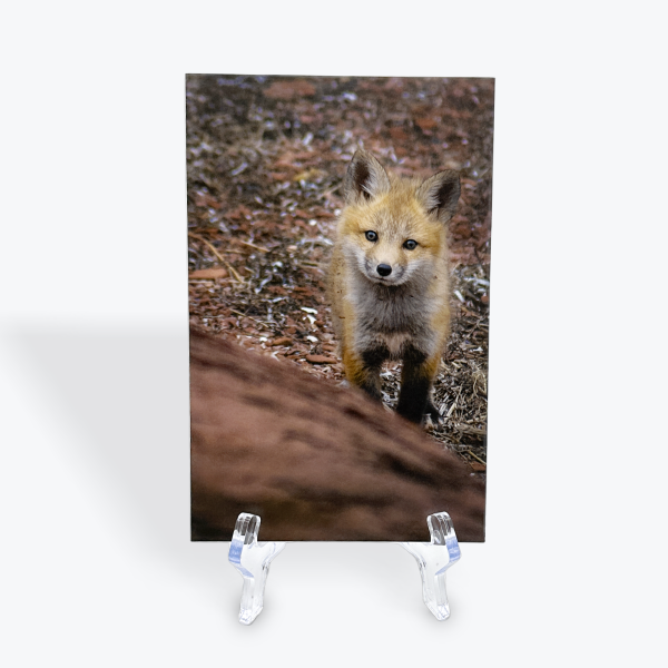 Patricia Bourque - Card Prints