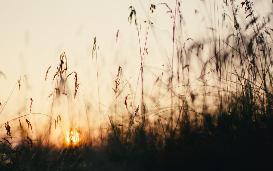 Julie Murphy — Artisan Afternoons